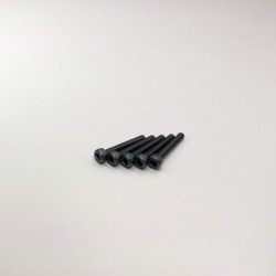 Kyosho Metallic Cap Screws M3x20mm (5)