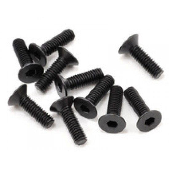 SWORKz FH/ST Screw M3x10mm (10)