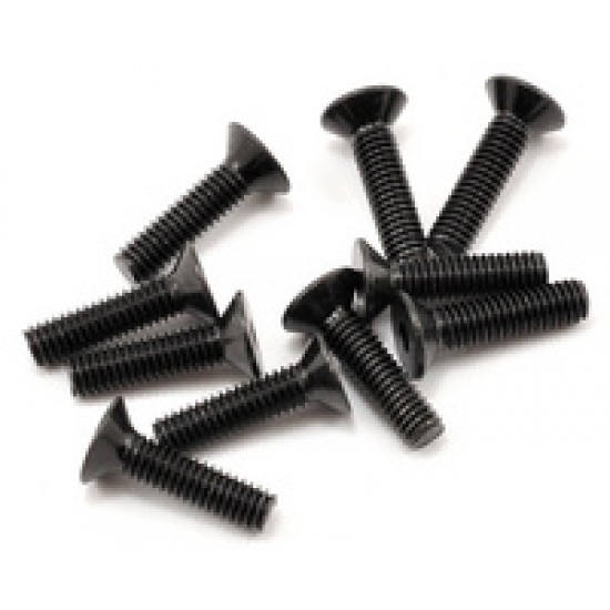 SWORKz FH/ST Screw M4x16mm (10)