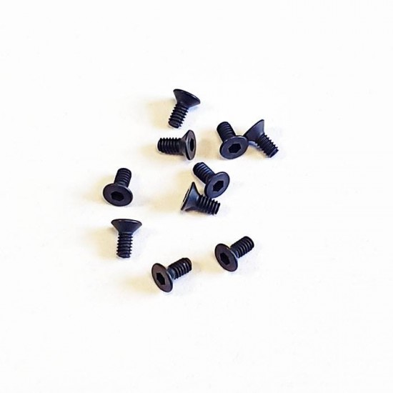 SWORKz FH/ST HEX Screw M2x4.6mm (10)