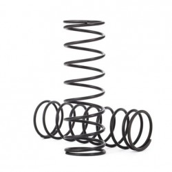 Traxxas Springs, shock (natural finish) (GT-Maxx) (1.487 rate) (85mm) (2)